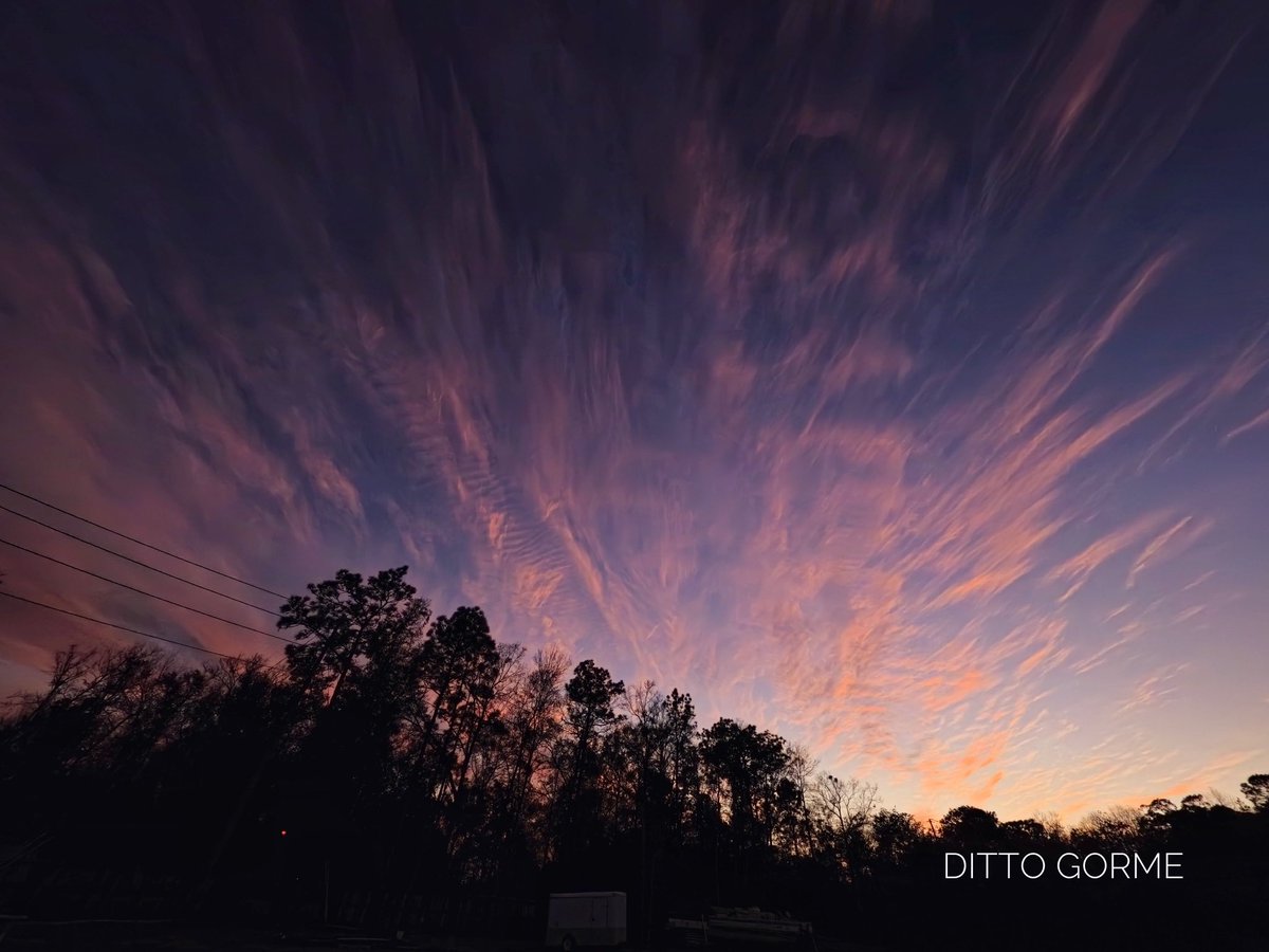 Ditto Gorme tweet media