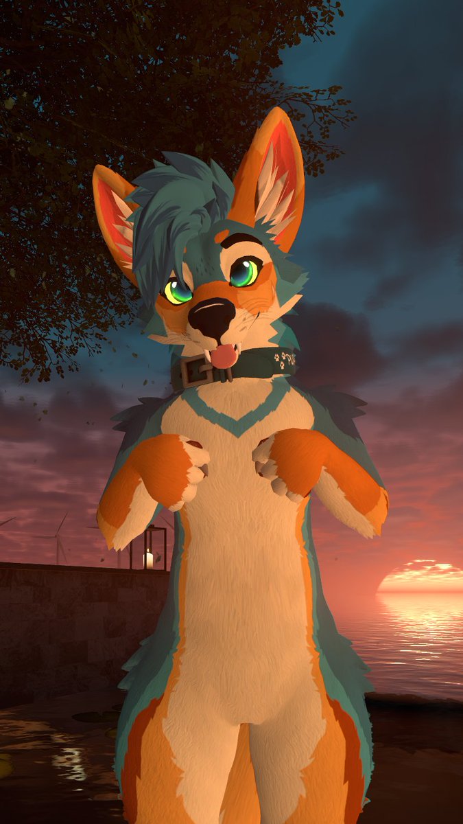 RivetCoyote's tweet photo. Not a single braincell behind those eyes.. ✨ https://t.co/dgc88m7NFX