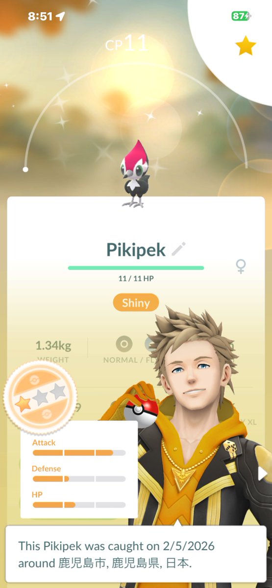 MegSelena77's tweet photo. smol shiny 🐥⸒⸒
#Pikipek https://t.co/3SDplHMDdm