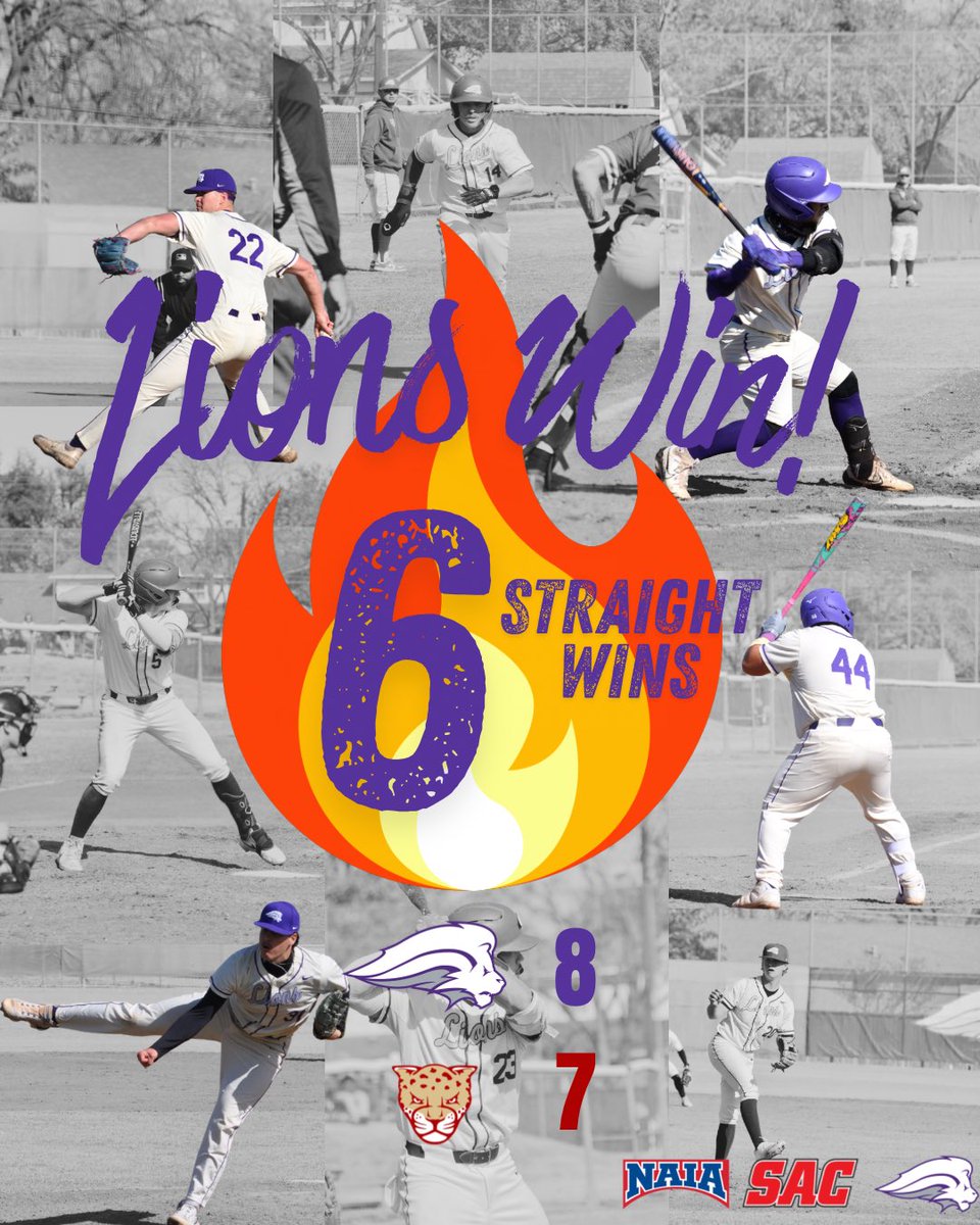 Nelson University Baseball tweet media