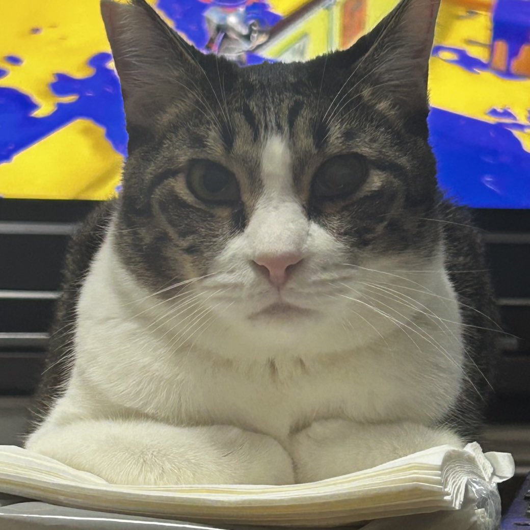 leocat0902's tweet photo. https://t.co/gkYUbO5hGP