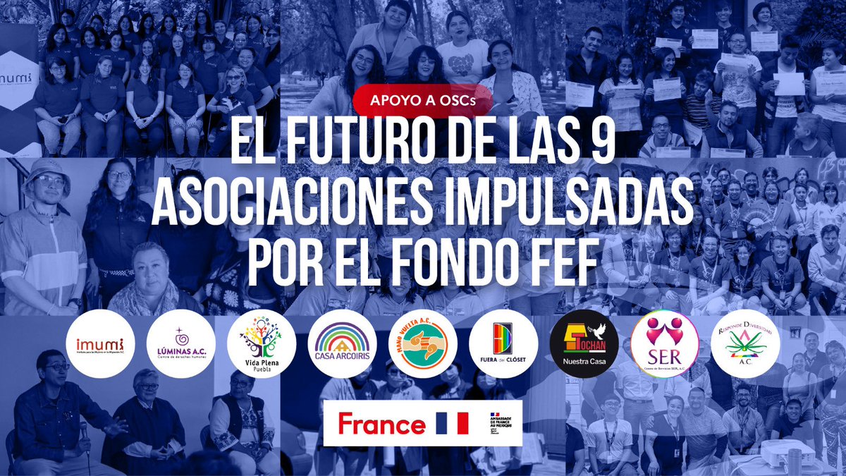 El #FondoFEF impulsó durante estos meses a organizaciones que acompañan, defienden derechos y sostienen vidas.
Hoy celebramos las victorias que cada OSC ha conseguido desde el inicio de sus proyectos. ✨