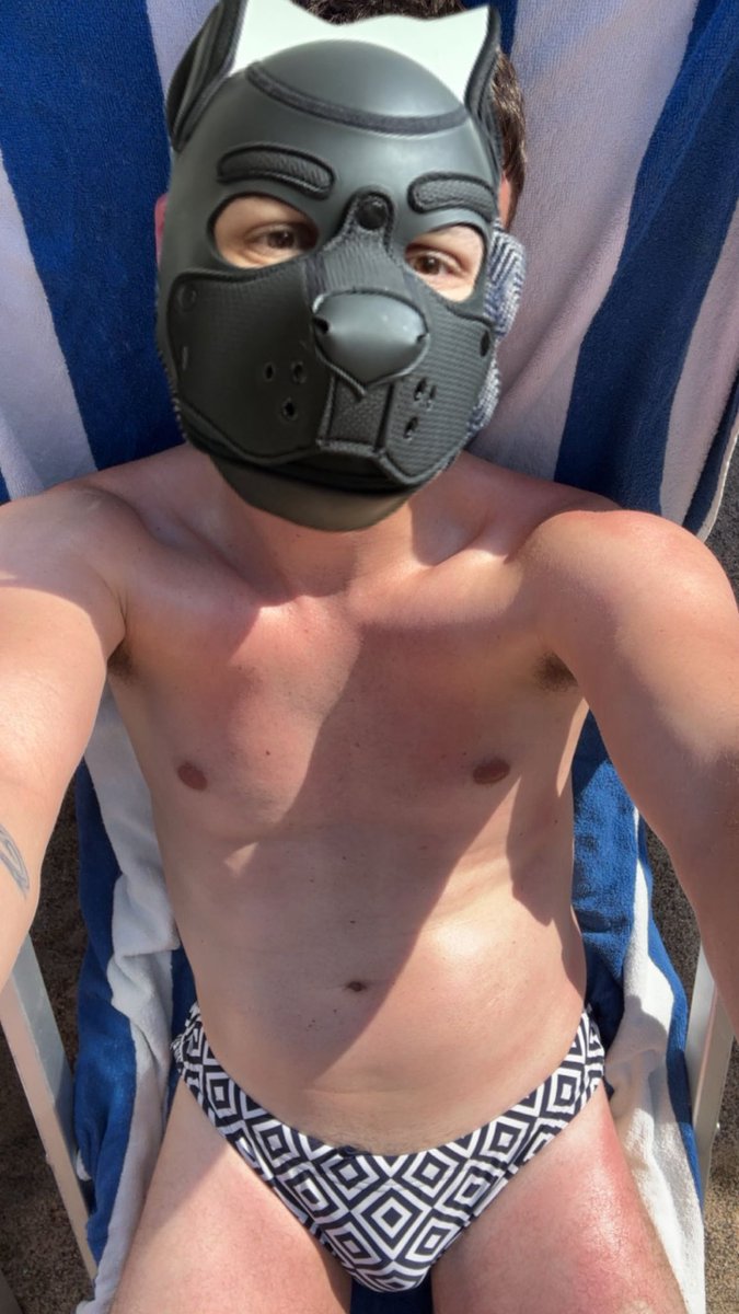 Pup Gemini tweet media