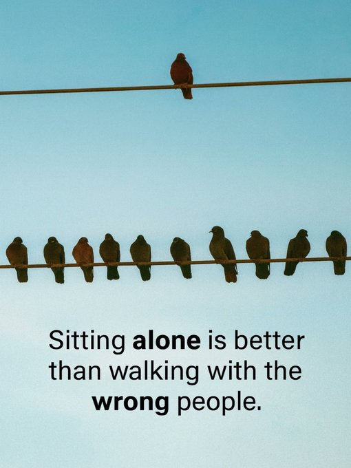 Mindful Maven (@mindfulmaven_) on Twitter photo 