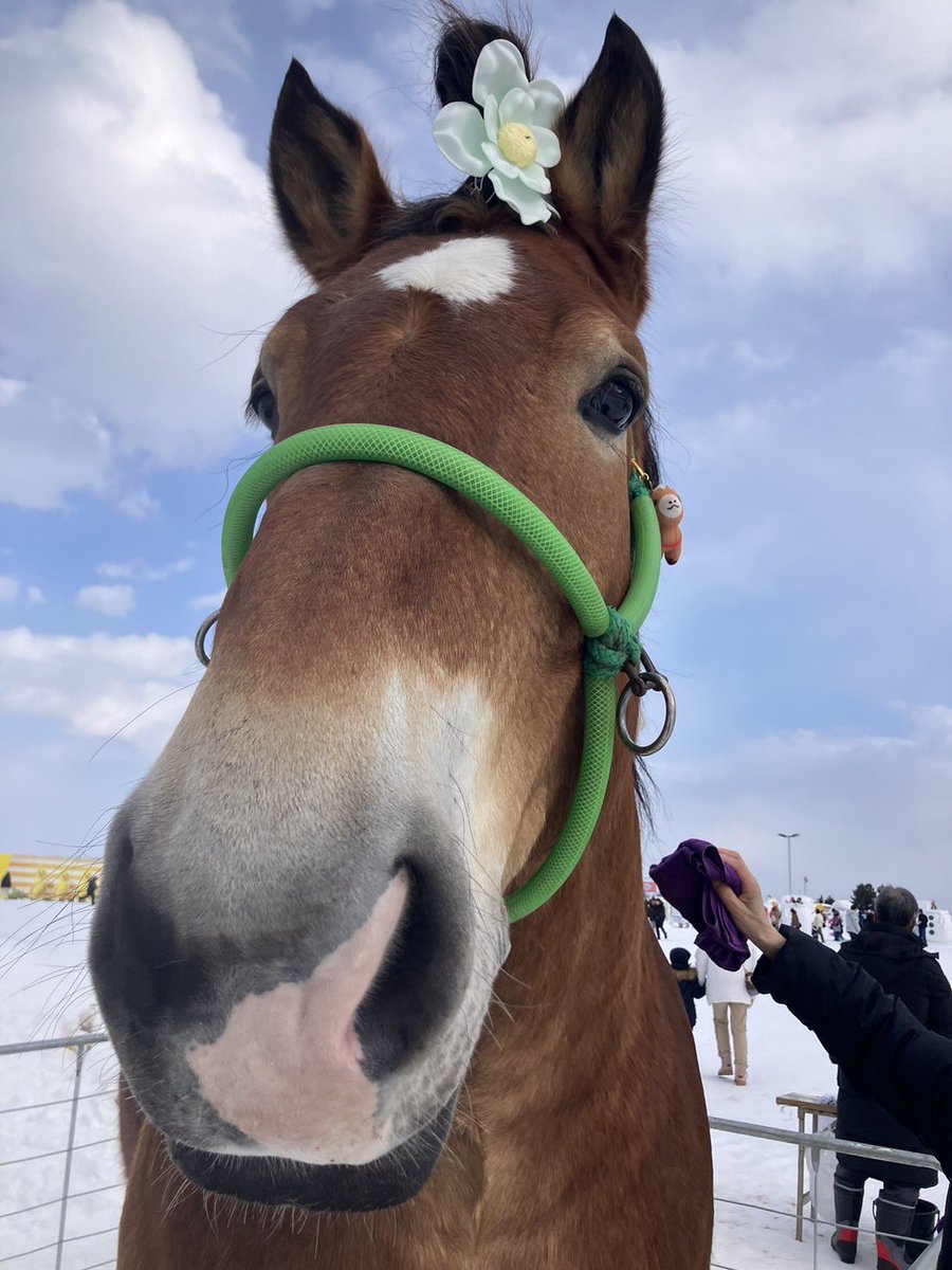 あんず (@anzu311) / Posts / X