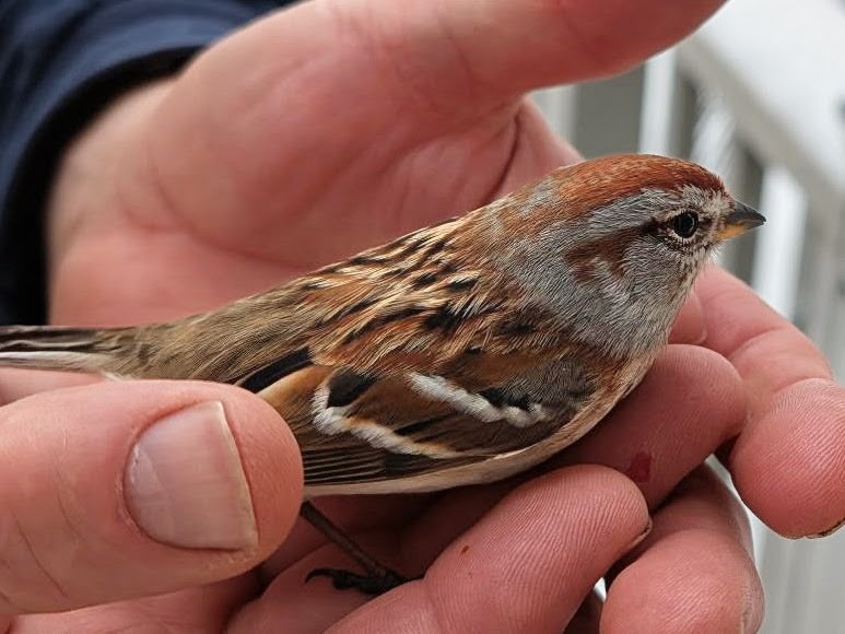 Creative Mitch tweet media