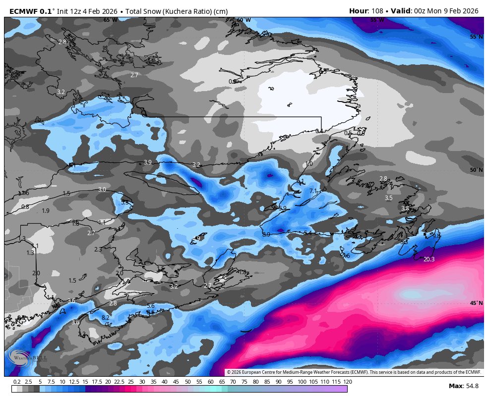 Eddie Sheerr tweet media