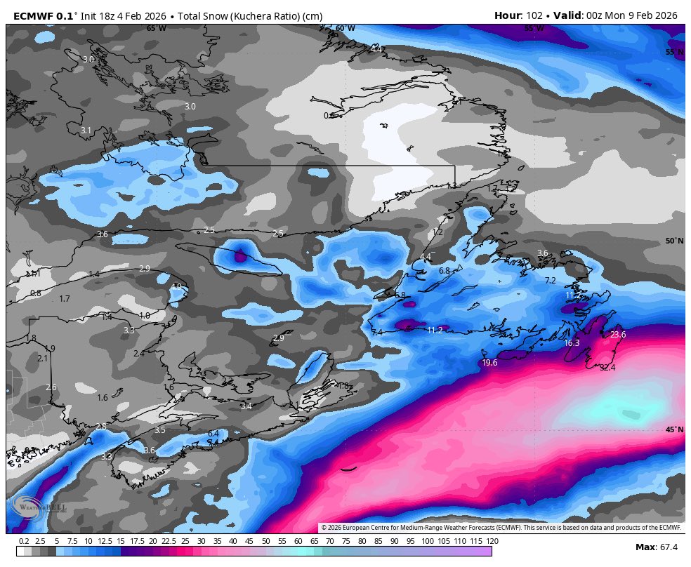 Eddie Sheerr tweet media