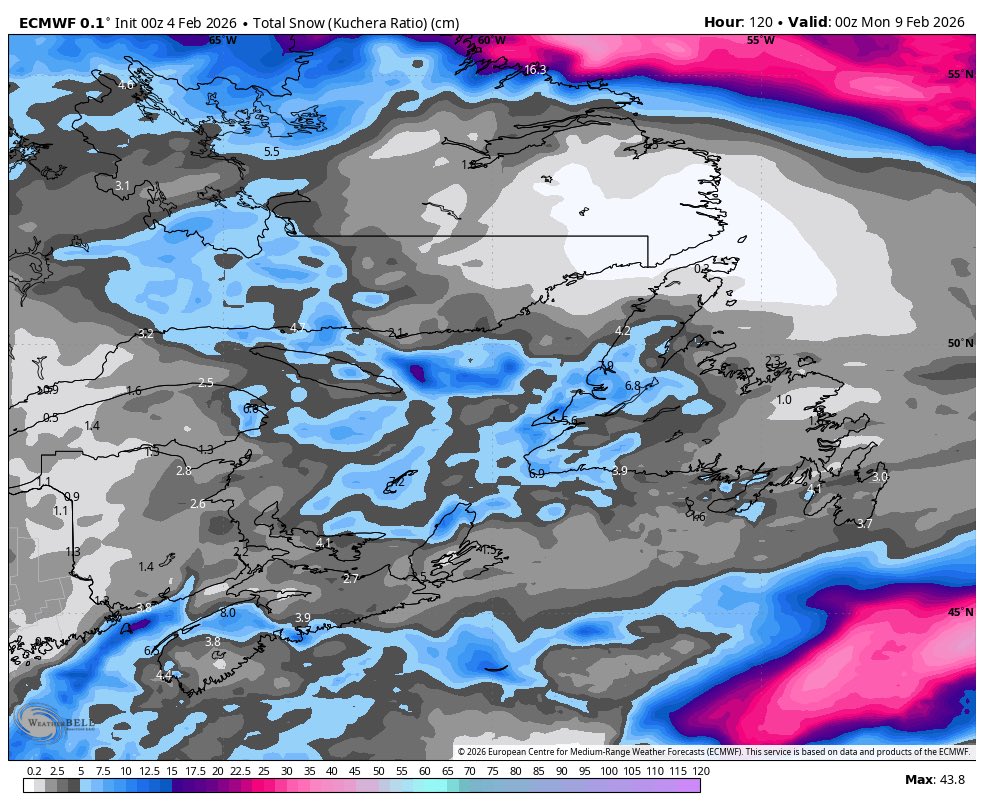 Eddie Sheerr tweet media