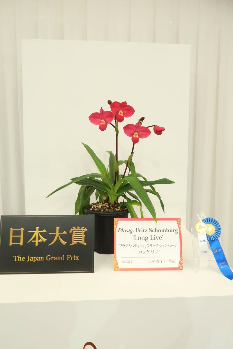 （株）東京オーキット・ナーセリー tweet media