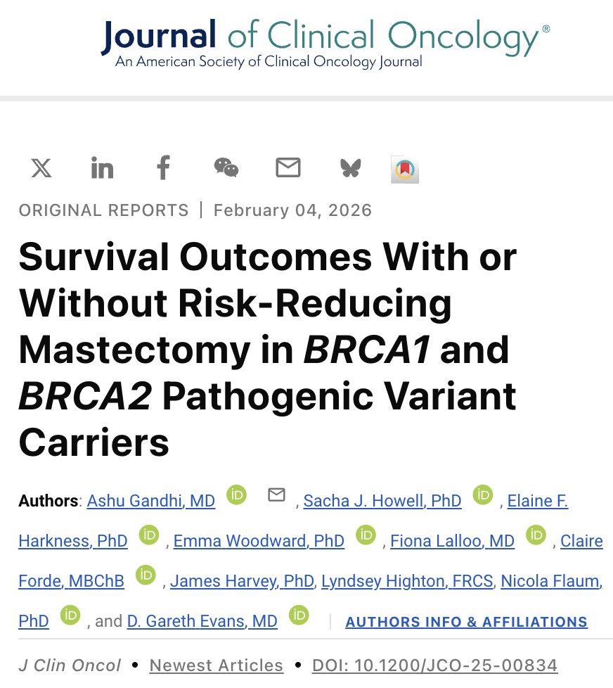 Oscar Tahuahua tweet media