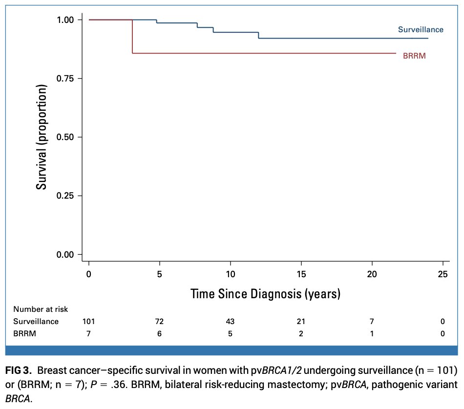Oscar Tahuahua tweet media