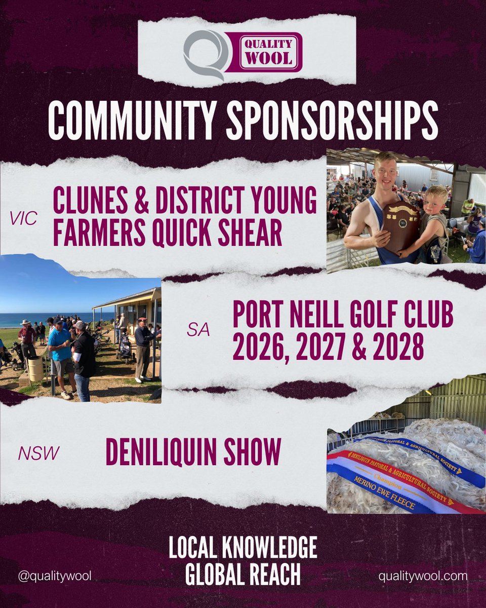 Quality Wool tweet media