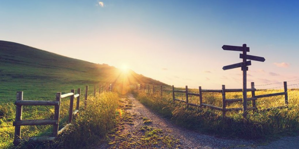 BC Provincial Court tweet media