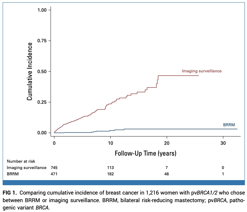 Oscar Tahuahua tweet media