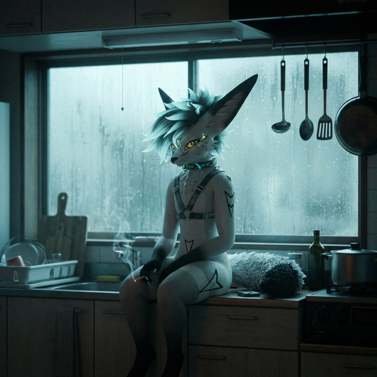 Fox Named Elliot tweet media