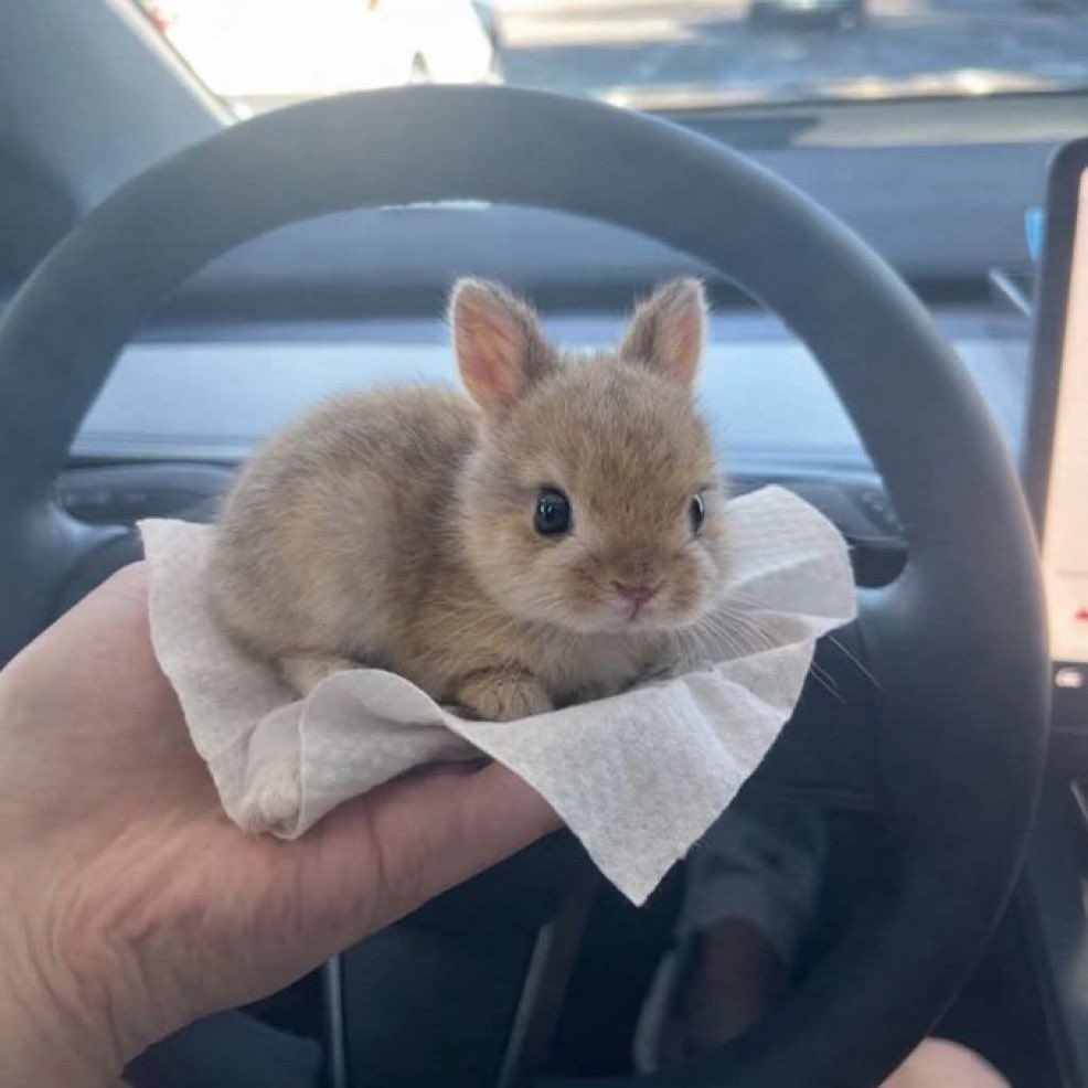 이거 데뷔초 샤오잔