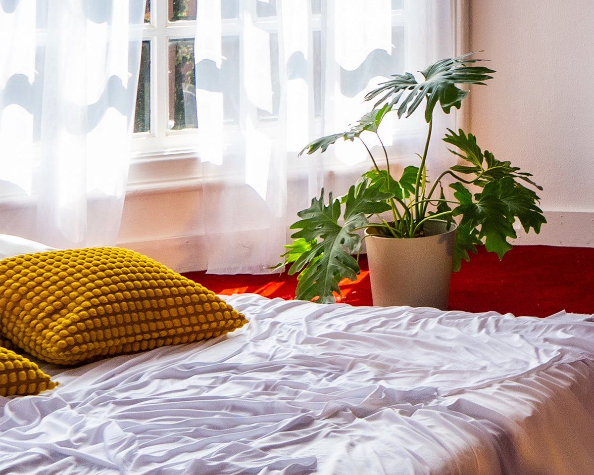 Los Ángeles Azules tweet media