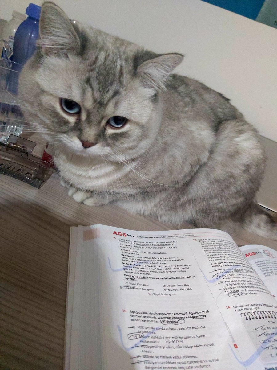 Canim müsade eder misin ders çalışmam gerekiyor😔