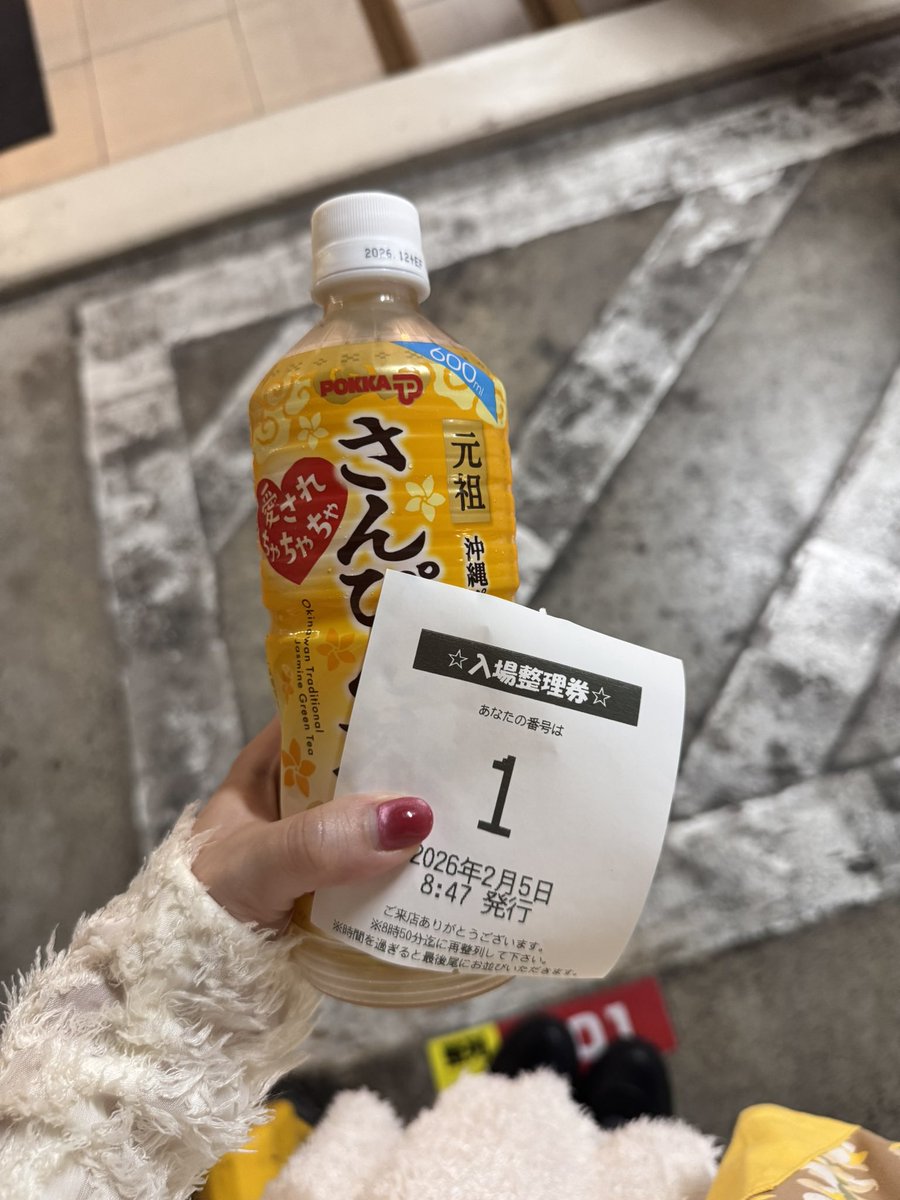 Shinmi Naruse (Kokomi)