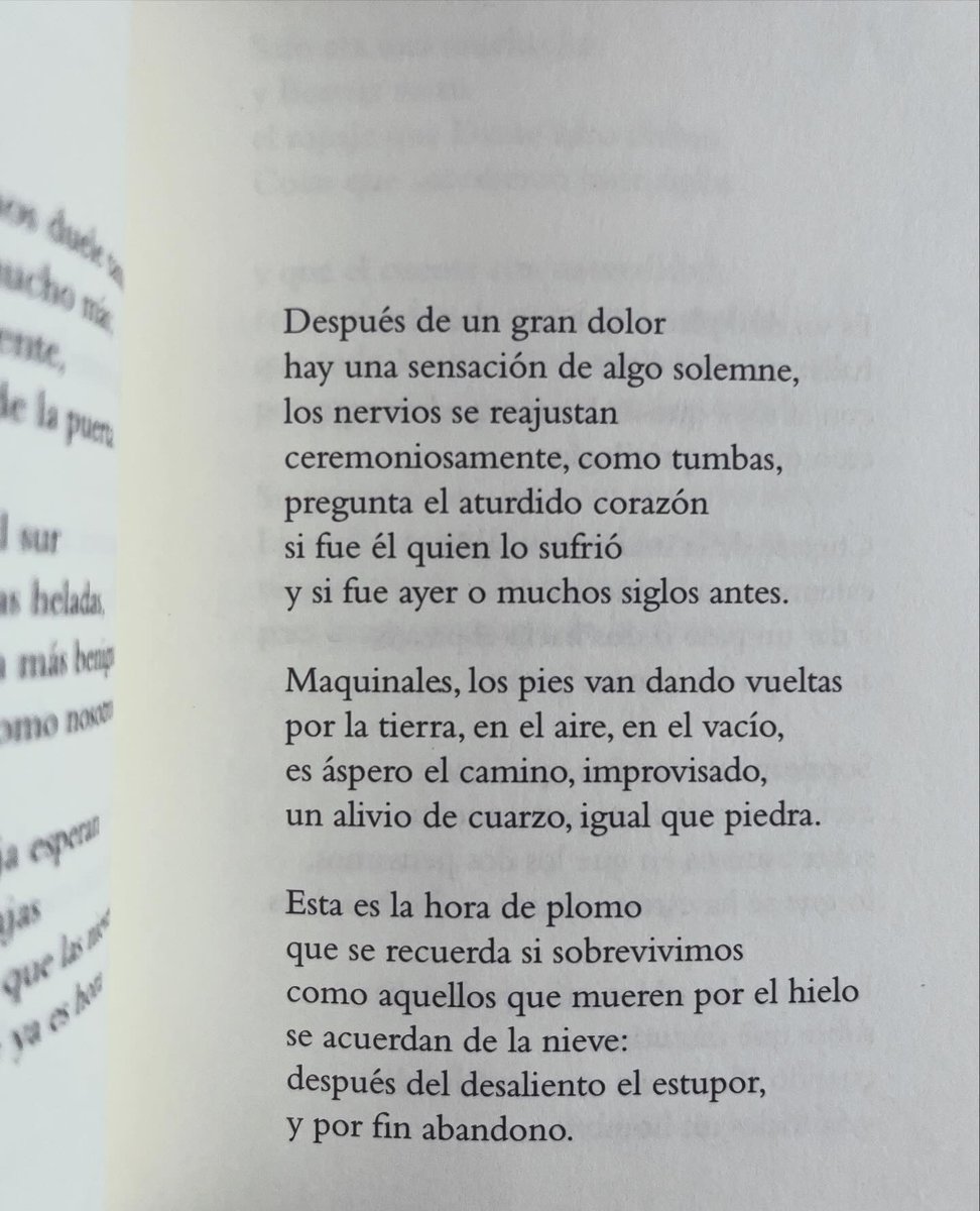 La belleza como una forma de riesgo en la poesía de Emily Dickinson 🙌🏽❤️‍🩹

En la segunda foto comparto el poema que más me conmovió de este libro. Un texto megalúcido sobre cómo se vive después de lo insoportable. Lo que viene cuando el golpe ya pasó y la persona sigue viva.