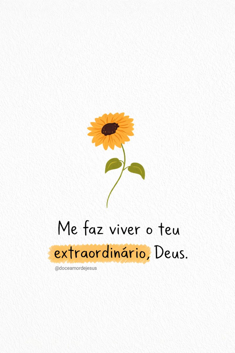🌻✨