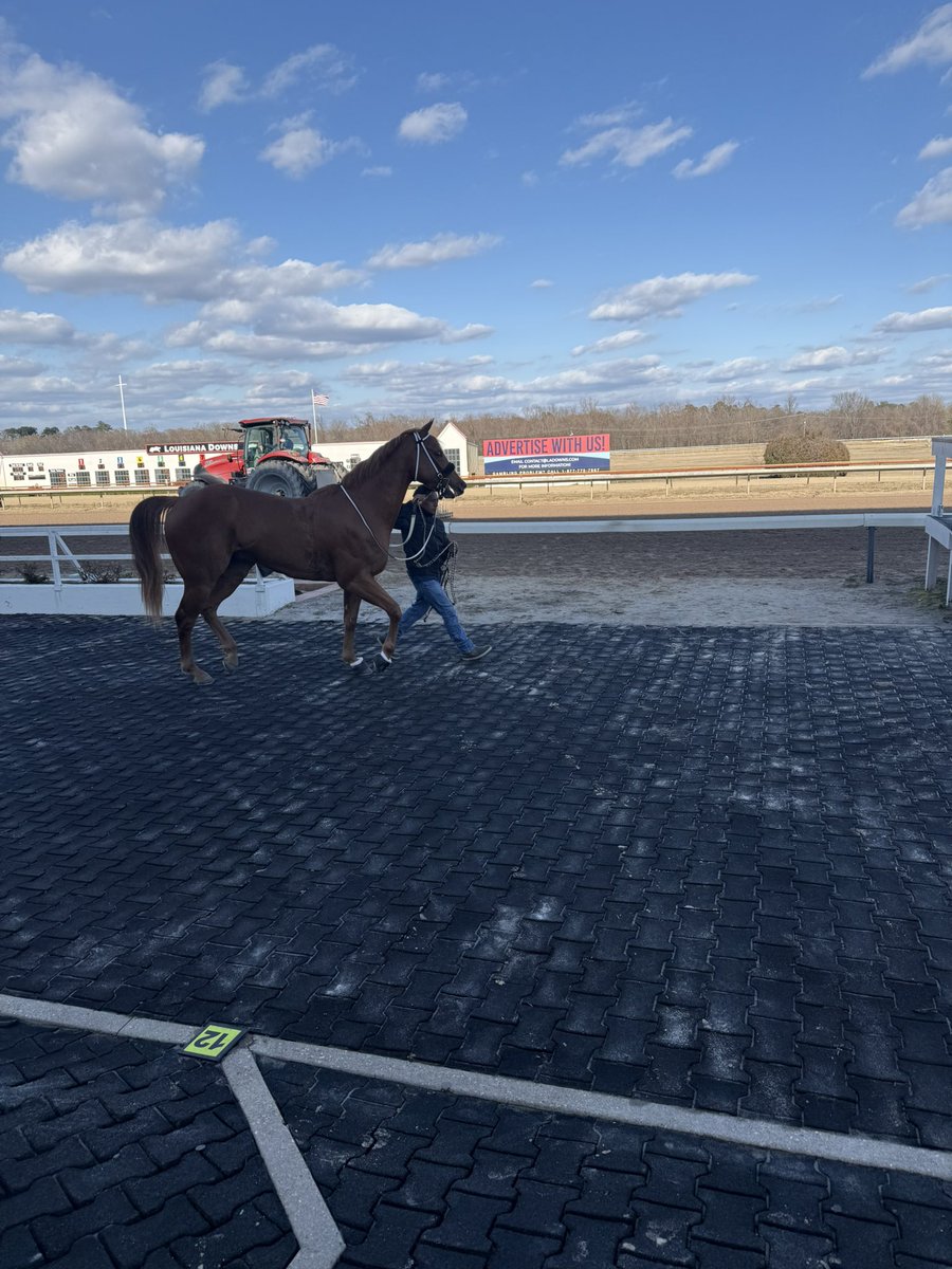 Roxanne Tanner tweet media