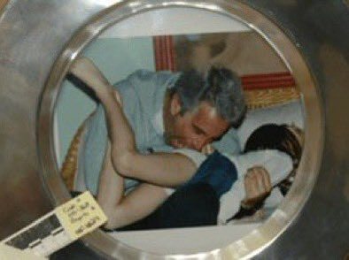 AlphaFox tweet media