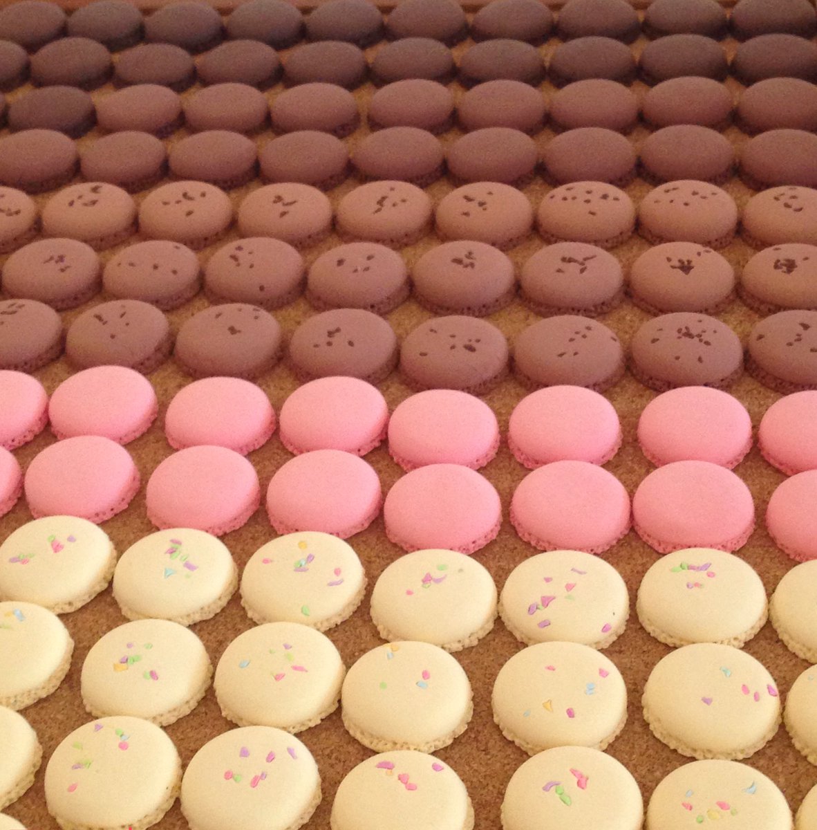 カラフルマカロンちゃん達、かわゆい*´ㅅ`)