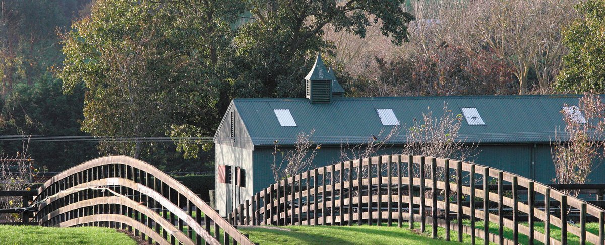 New Zealand Bloodstock tweet media