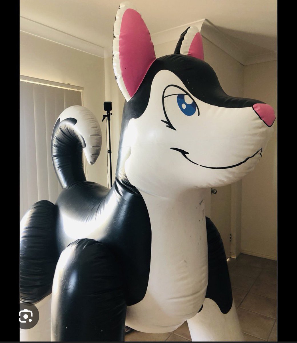 SqueakLovingPup tweet media