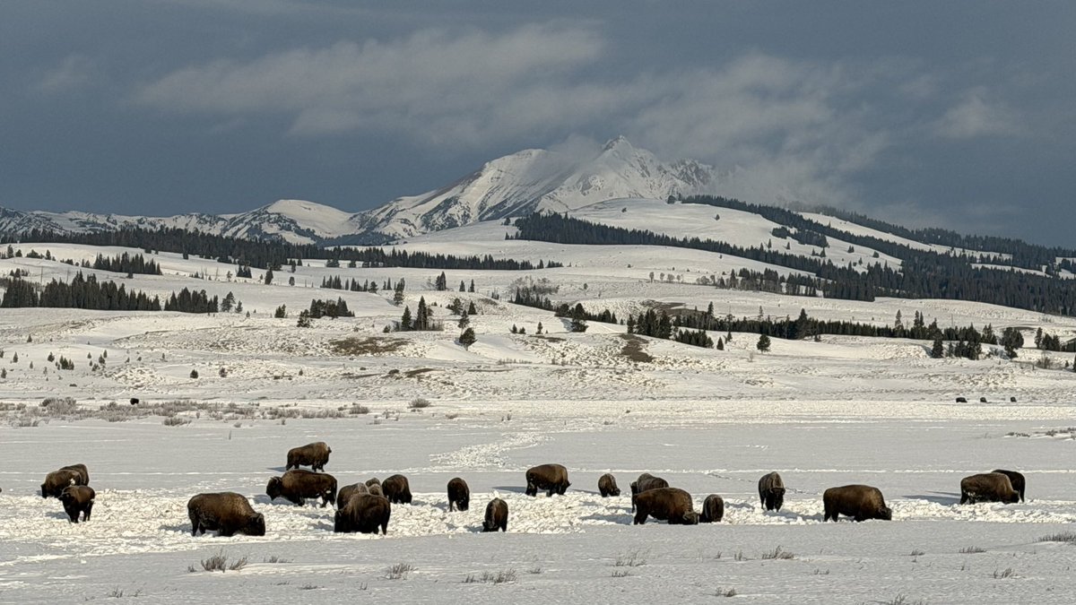 It’s a beautiful day in the neighborhood.