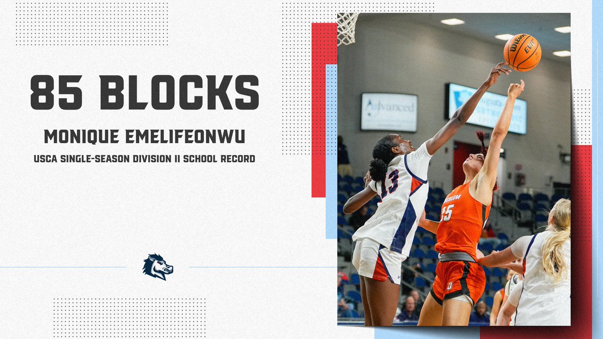 USC Aiken Athletics tweet media