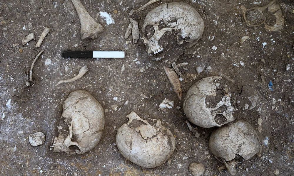 Viking-era skull gives glimpse of world’s first brain surgery: talker.news/2026/02/04/vik… 

#history #science #studies