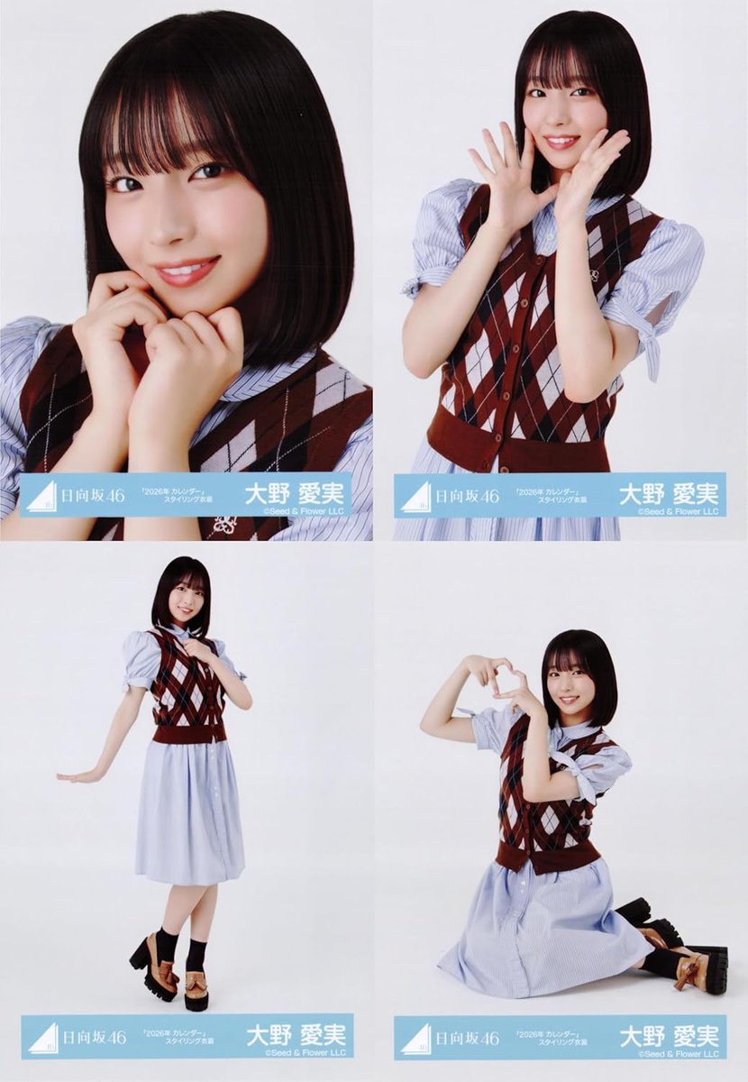 日向坂46 生写真 2026年 カレンダー スタイリング衣装 4種コンプ 大野