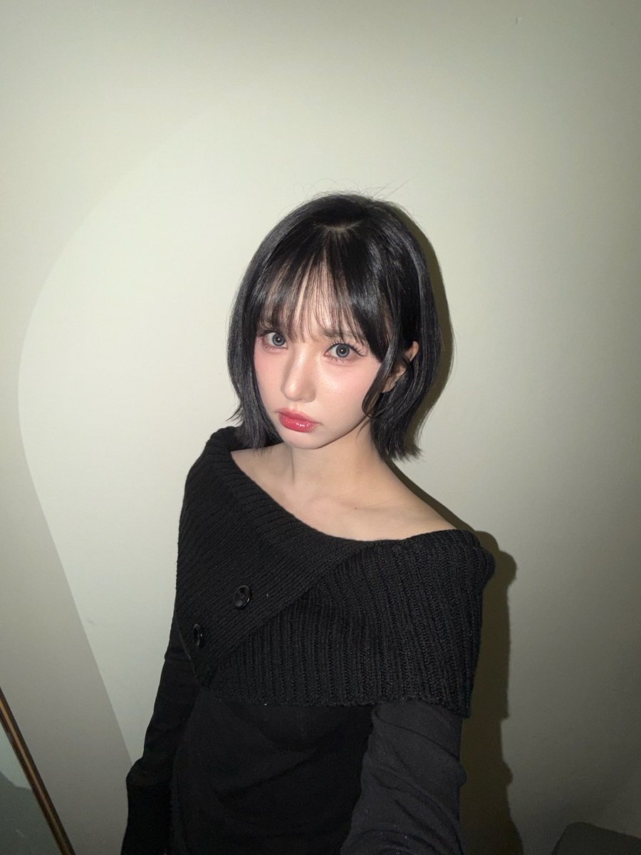 비비지 업데이트 tweet media