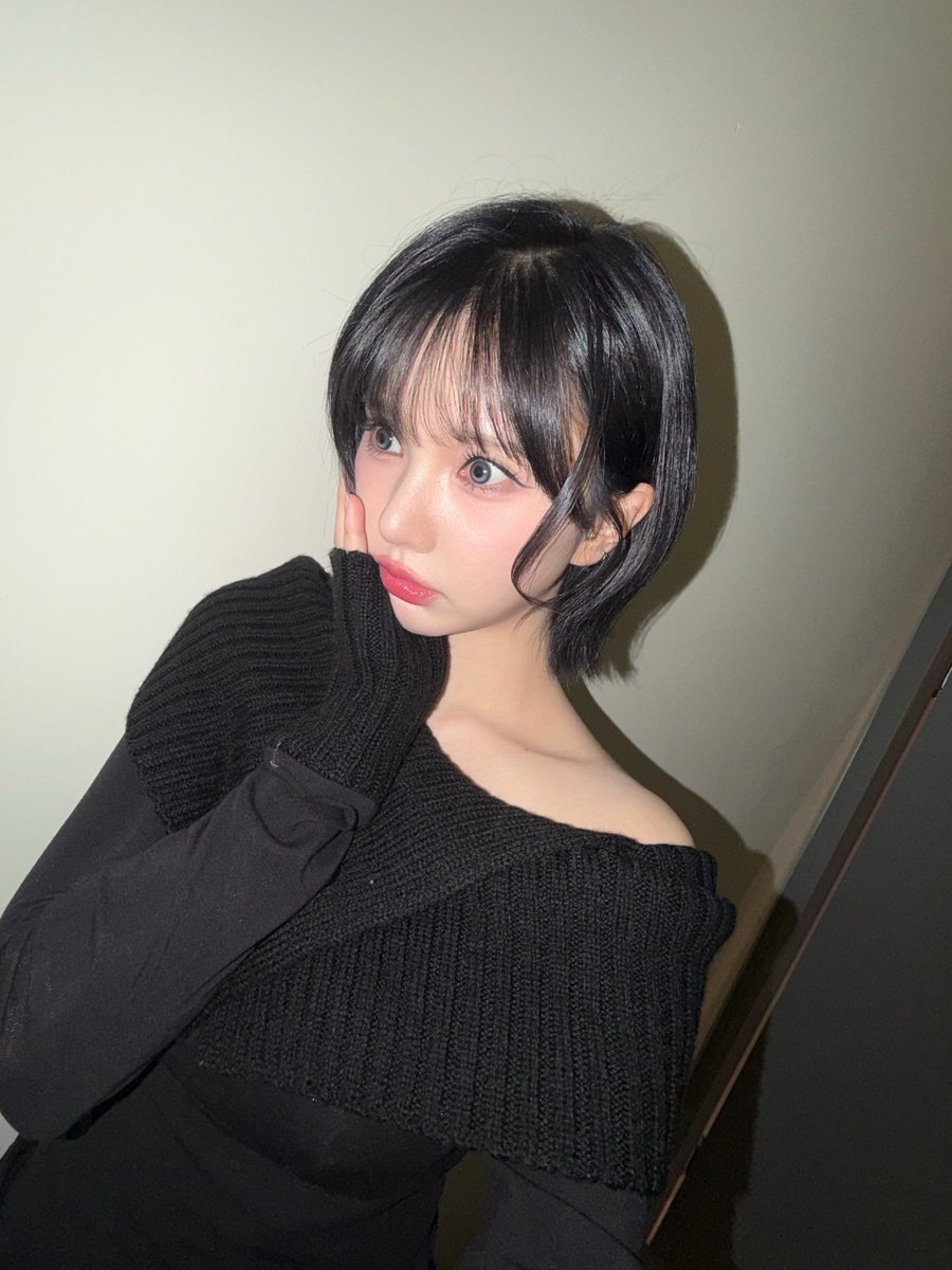 비비지 업데이트 tweet media
