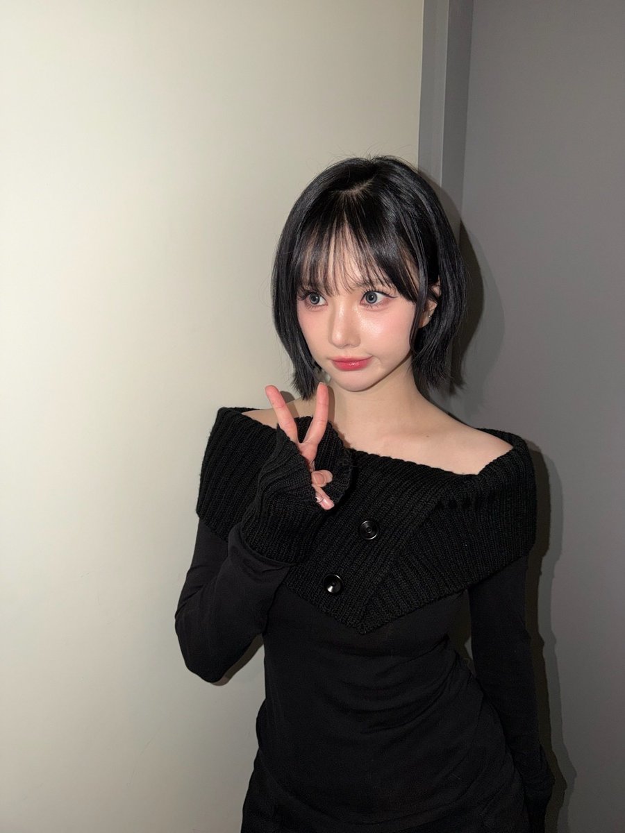 비비지 업데이트 tweet media