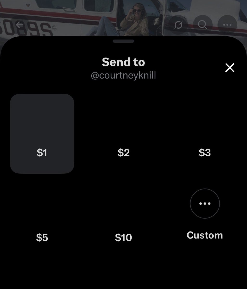 BowTiedYukon tweet media