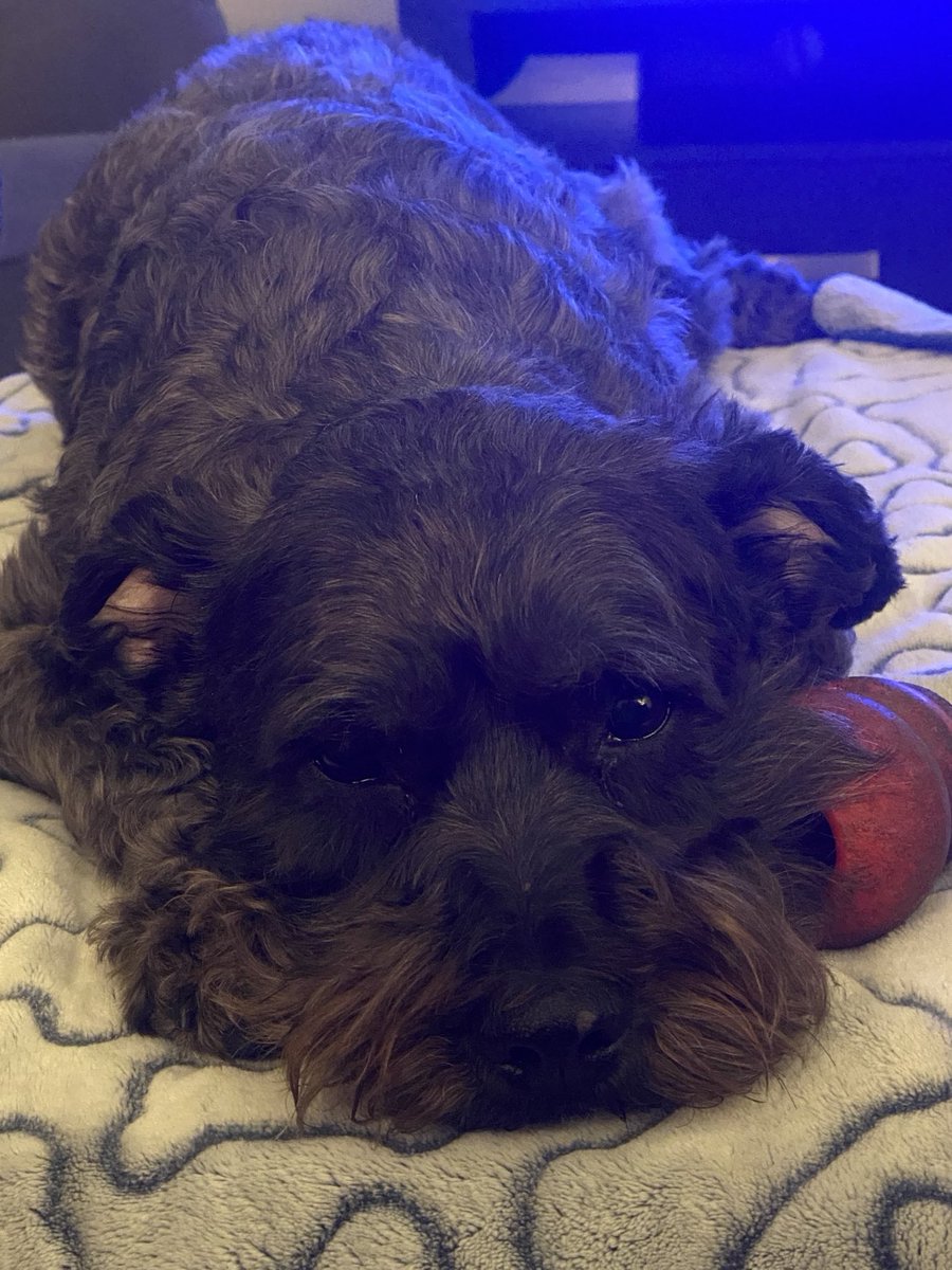 Jill Davis tweet media