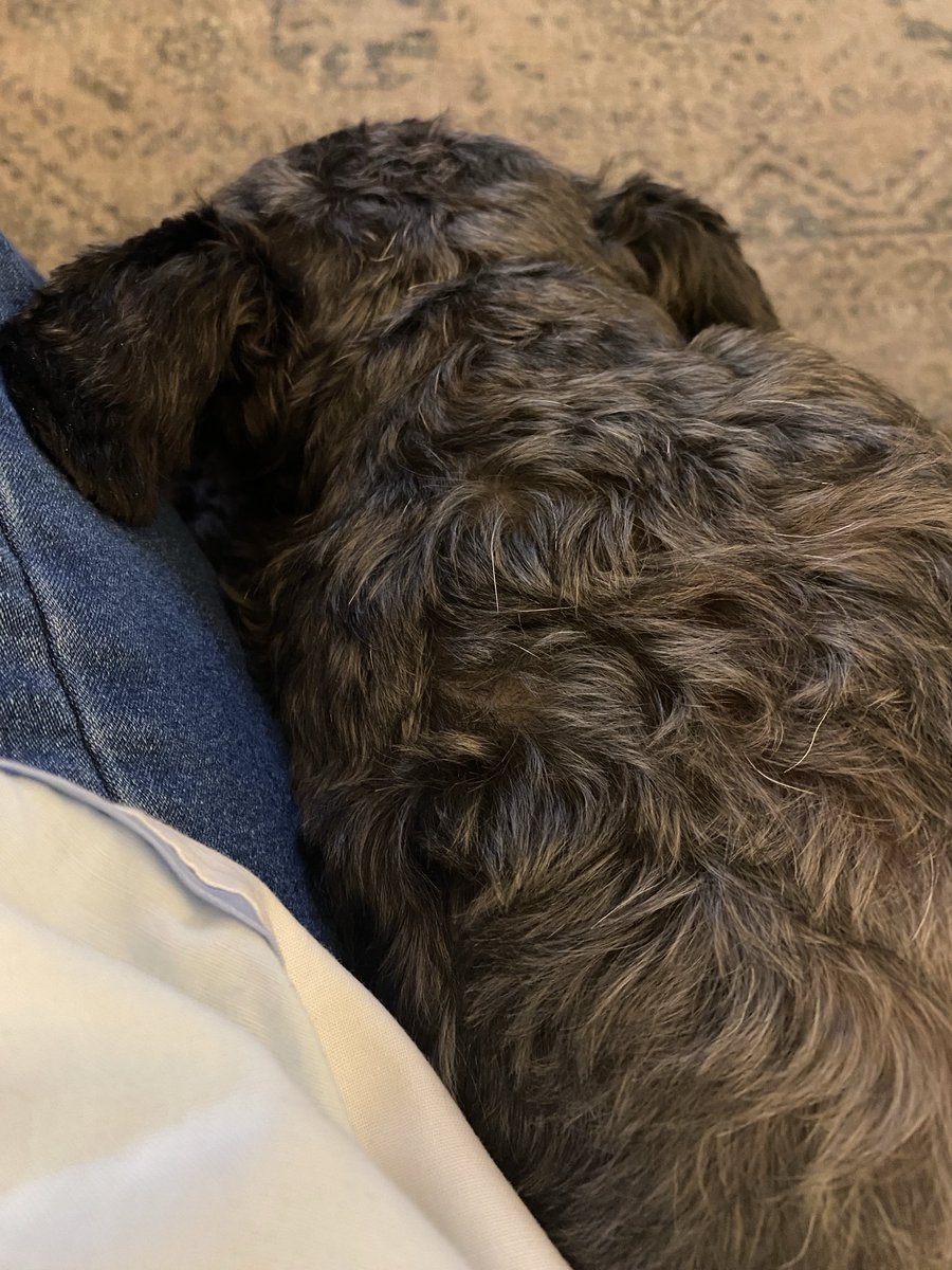 Jill Davis tweet media