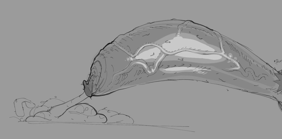 𝕋ℍ𝔼 𝔾𝔼ℕ𝕀𝕌𝕊 𝔹𝔸𝕊𝕋𝔸ℝ𝔻 tweet media