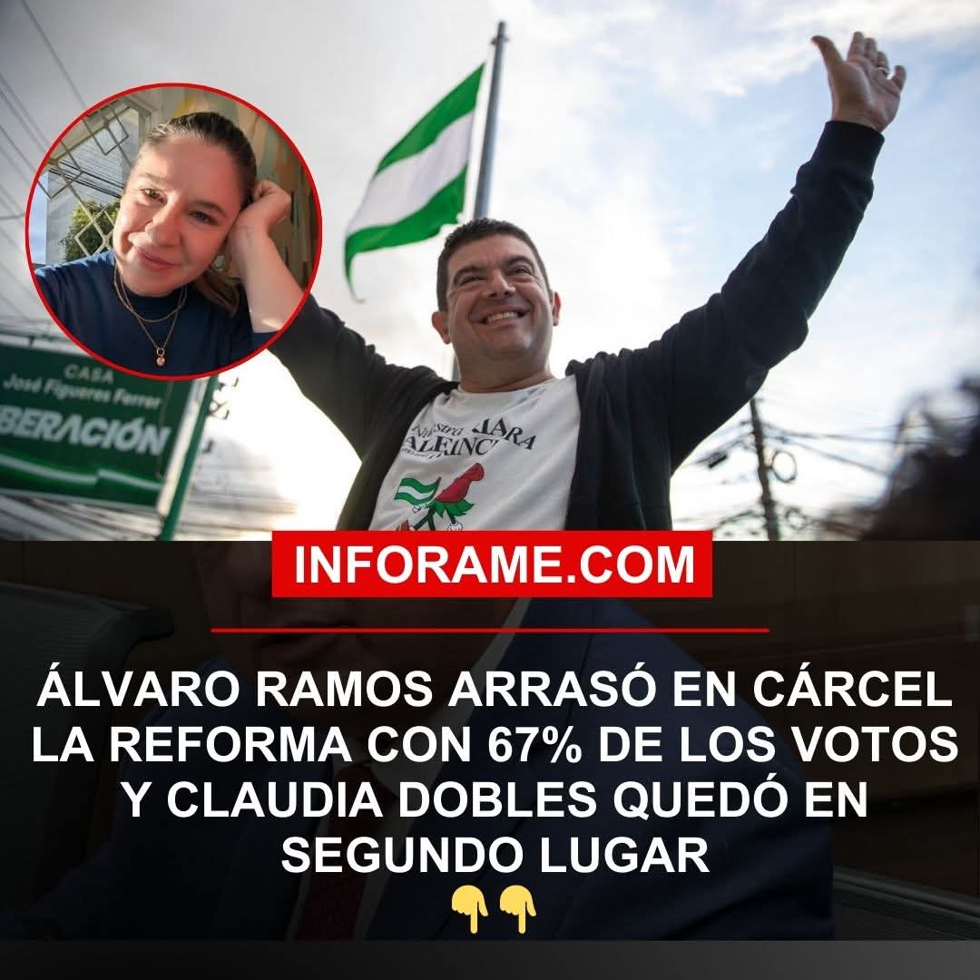 Profe Morado tweet media