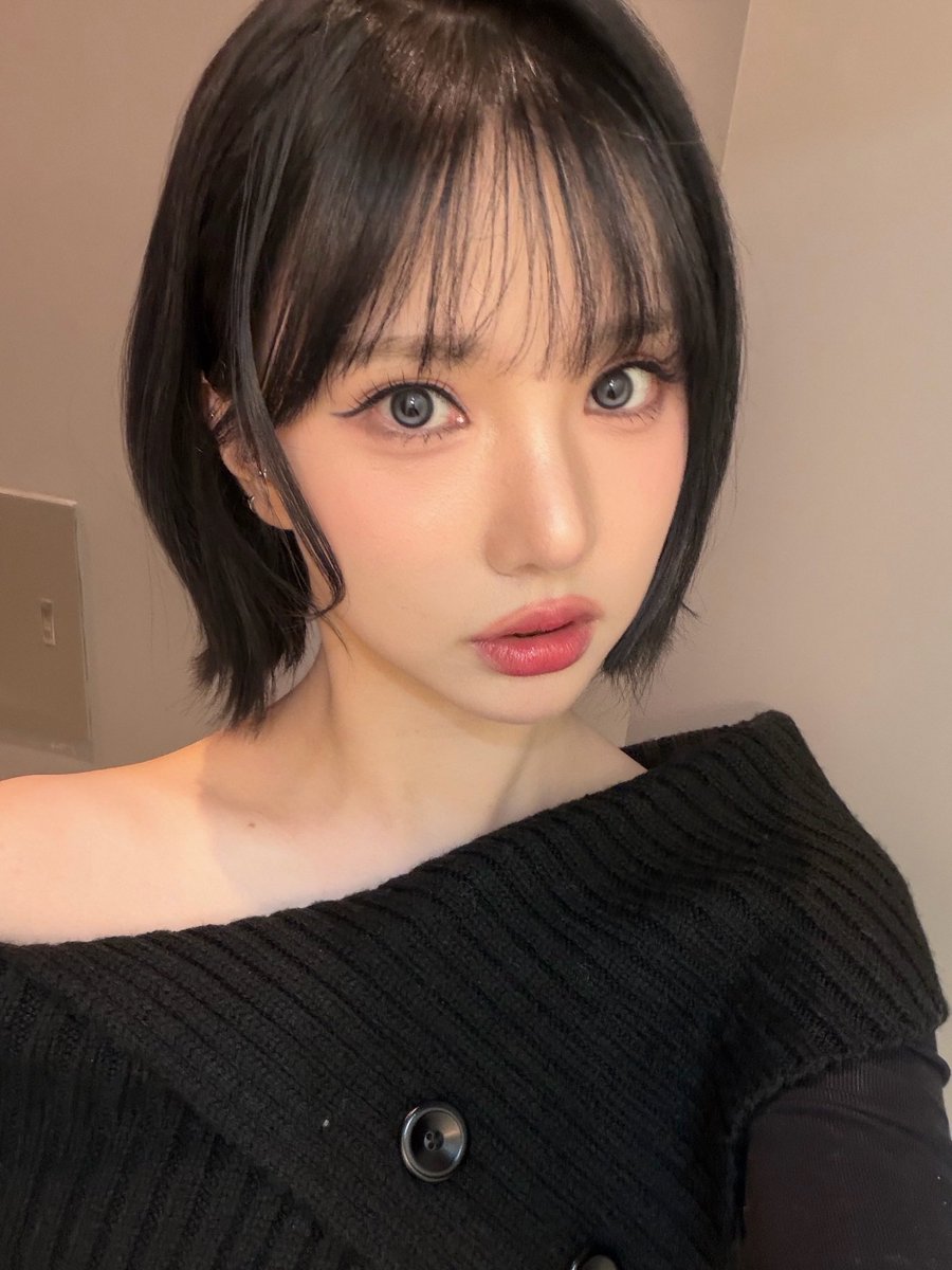 비비지 업데이트 tweet media