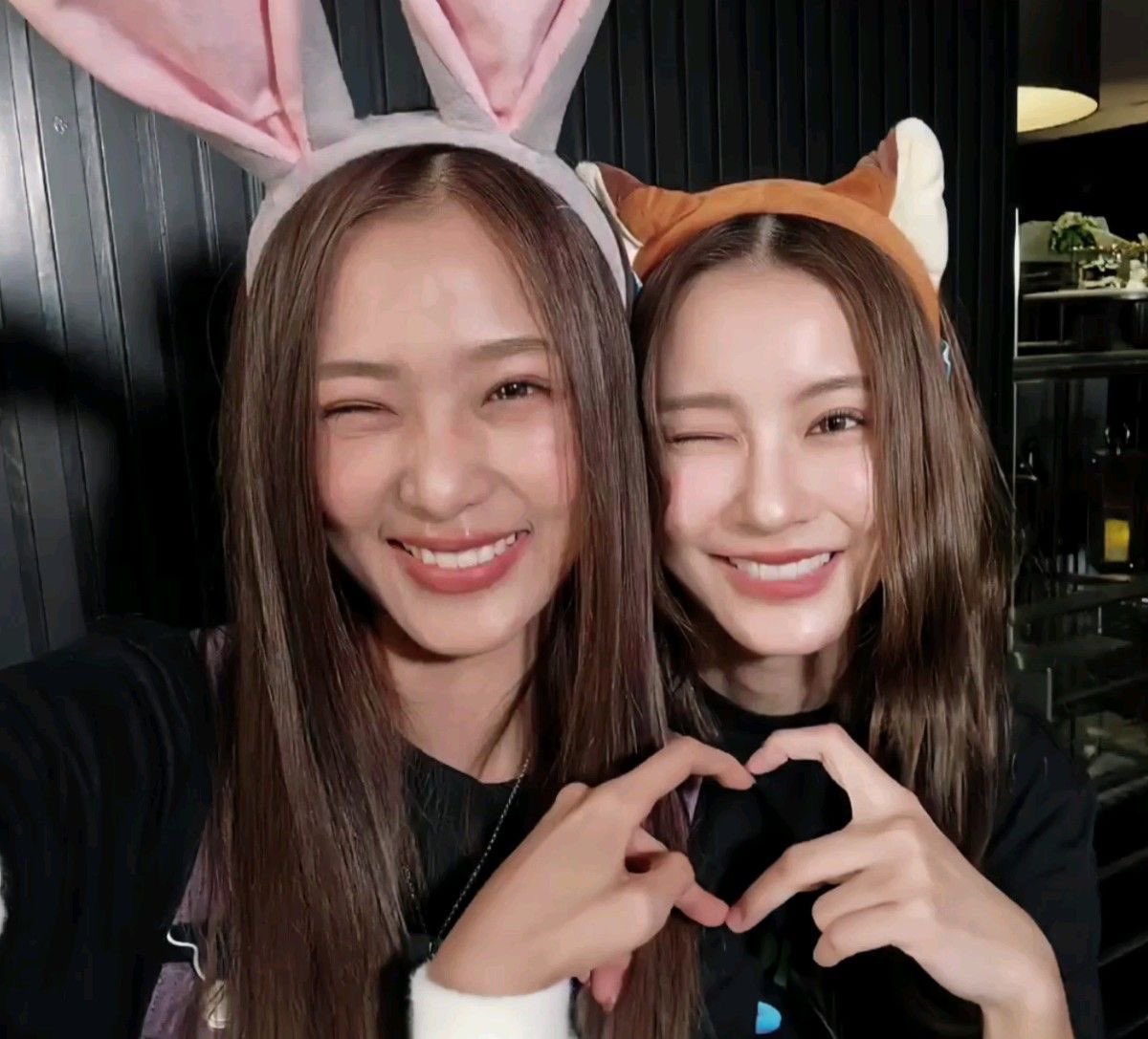 Post by namtanfilm 📂 on X: 🦊🐰