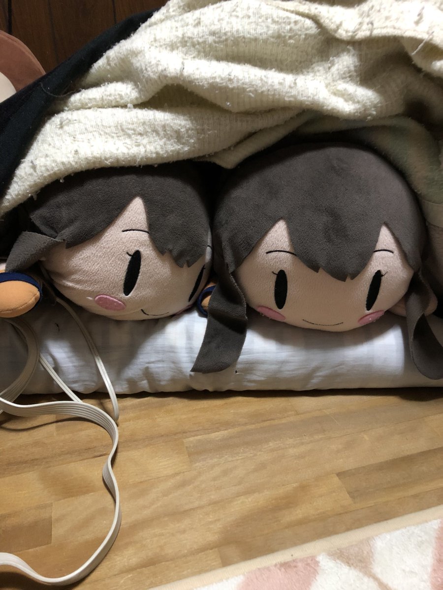 この時期になると布団に潜り込んでじっとしていることが多くなる赤城ちゃんズ

可愛い、、、！！！