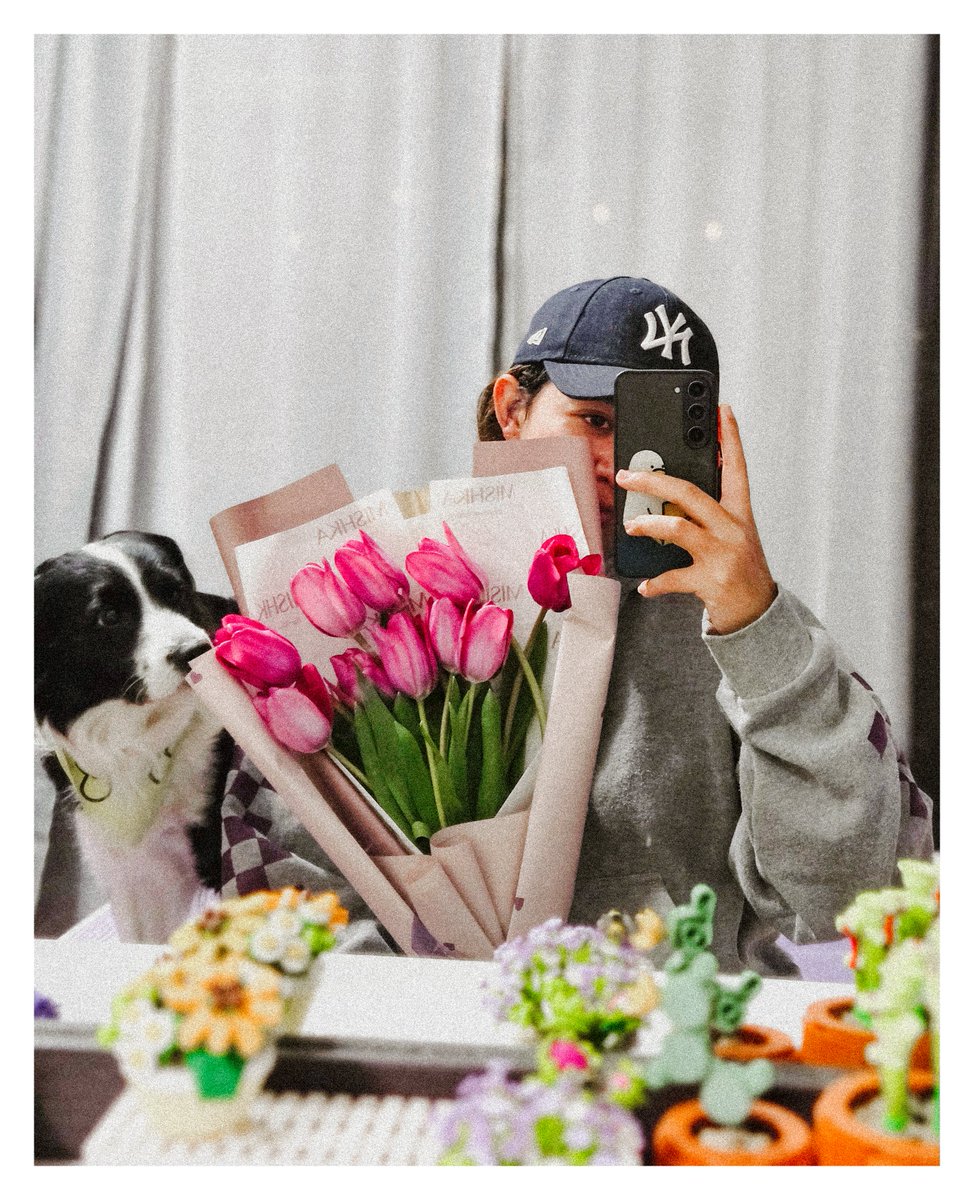 SopaMagy_'s tweet photo. Solo quiero presumir mis hermosos tulipanes 😭💐✨️ https://t.co/BKpAyZGbto