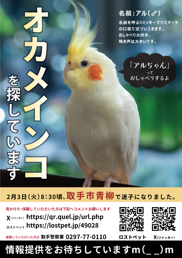 🖇roco✯ ୯ૃ(⁎⁾̵ ਊ ⁽̵)੭ુ⁼³₌₃ (@rocomix88) / Posts and Replies / X