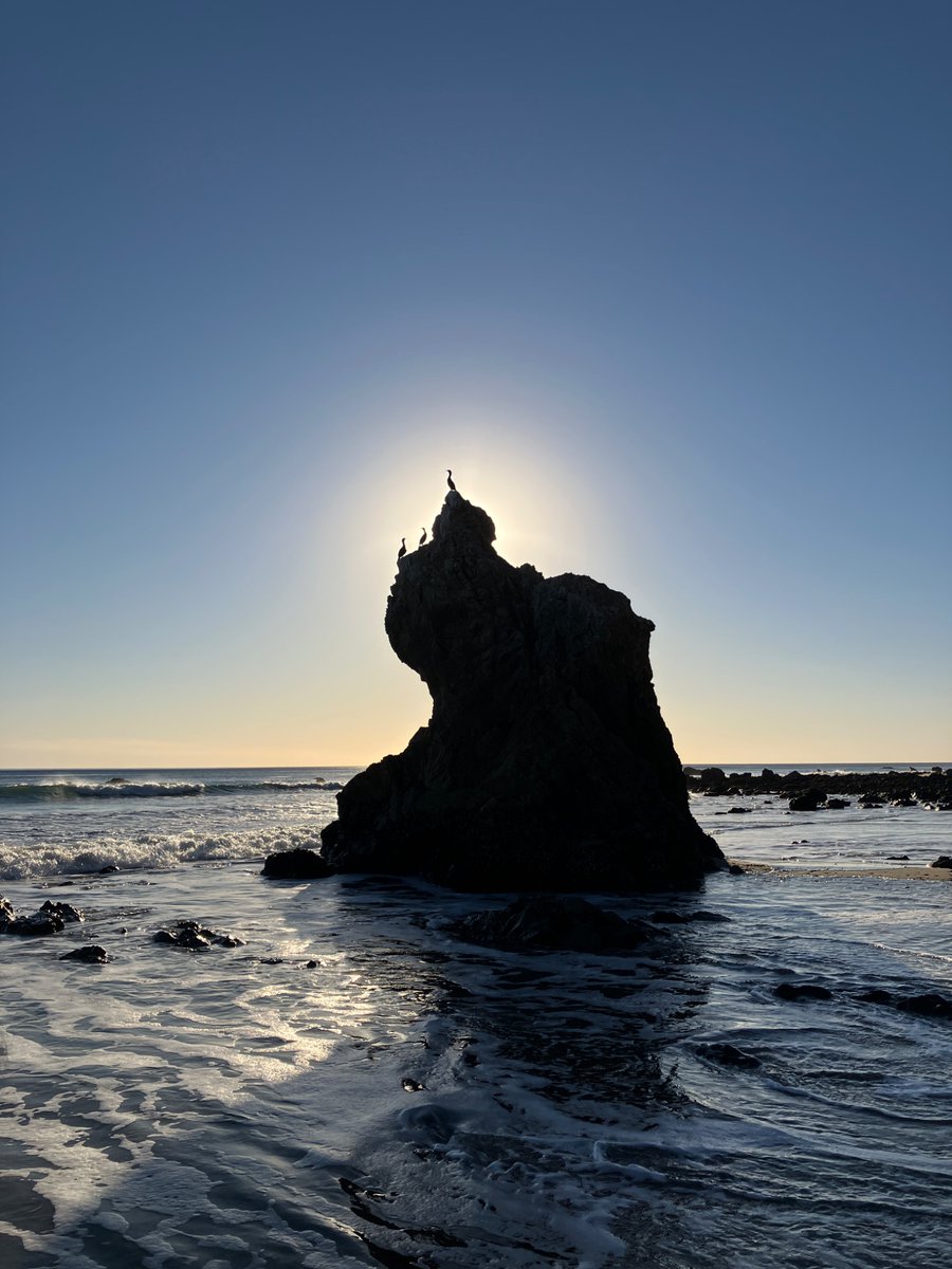 PJSActor's tweet image. 