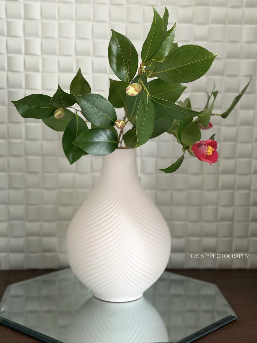 coco (@39coco39coco) / Posts / X